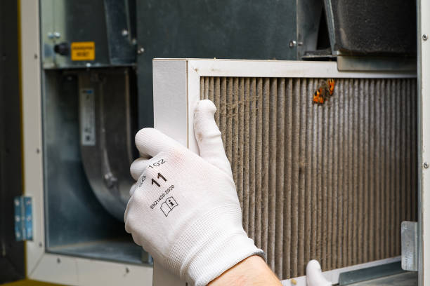 Best Affordable Air Duct Cleaning  in Sonoma State University, CA